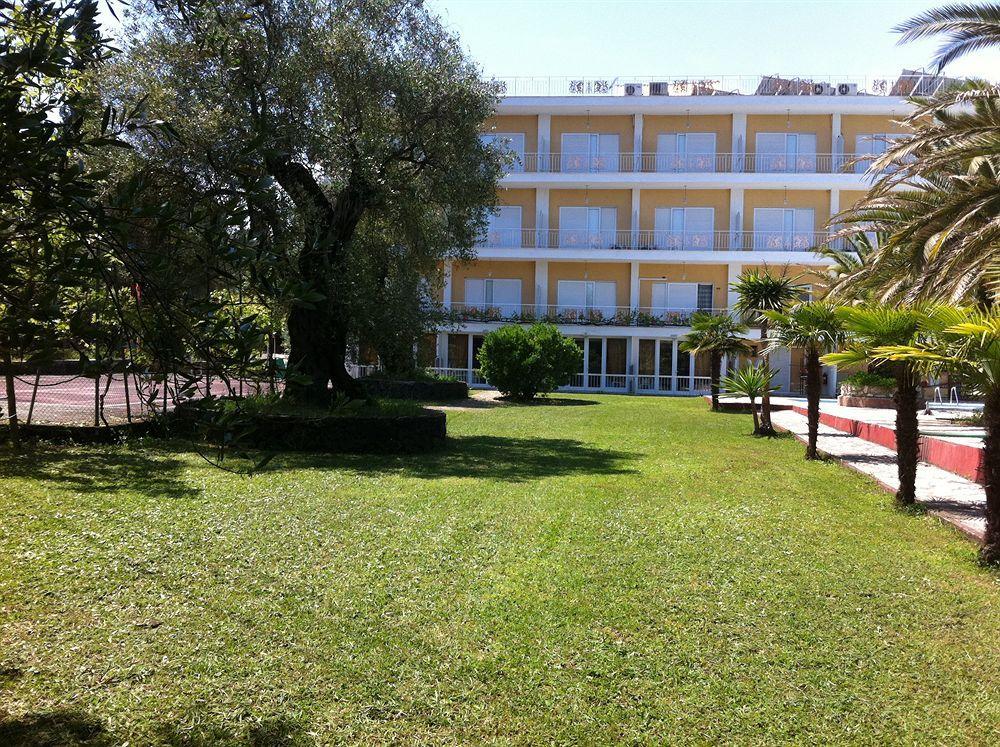 Paloma Blanca Ipsos